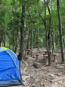 Espaço camping - Barraca 2