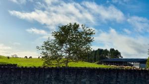 Modern country charm apartment.