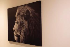 Appartements Taniere urbaine : photos des chambres