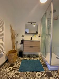 Le Cocon Briochin, grand appartement en plein centre de SaintBrieuc