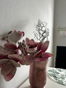 Gemütliche Ferienwohnung-Appartement