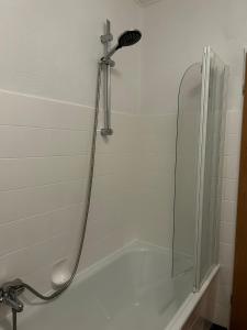 Gemütliche Ferienwohnung-Appartement