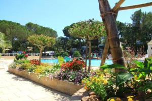 Campsite chalet France at Cotes dAzur nearby sea