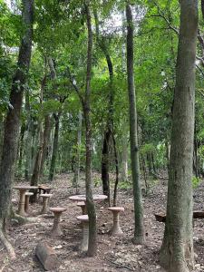 Espaço camping - Barraca 2