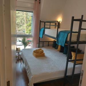 Apartman Perunika D9 - Divčigora