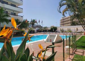 Las Camelias Apartments C13
