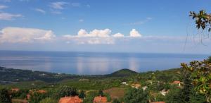 Traditional Guesthouse Erato
