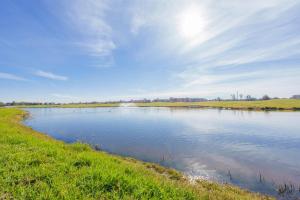 Relax Front Of Pool-Garden-Fibre
