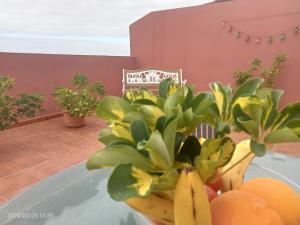 Beatifull apartament Sea View in pto Cruz