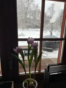 Augļu ielas pirts māja