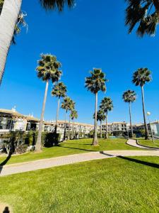 Invited to Albufeira