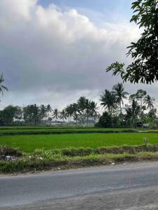 Kallista Villa Kalibaru