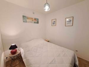 Appartement cosy 2 pièces - jardin privé, accès direct plage, animaux acceptés ! - FR-1-326-801