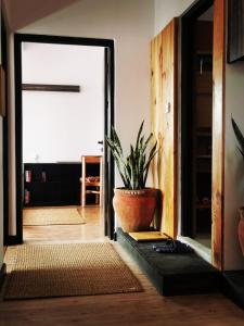 shalus residence