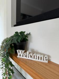 Terrigal Beach House