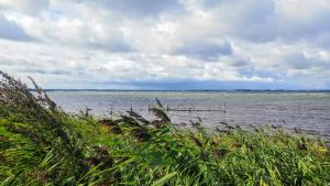 Ferienwohnung Dat seute Huus EG klein