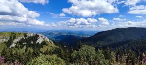 Apartman N Lux 100 Milmari resort