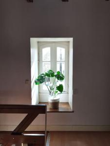 Cottage chaleureux au calme