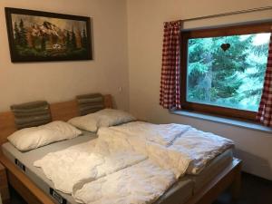 Alpine Hut Hannah Comfortable Vacation Home