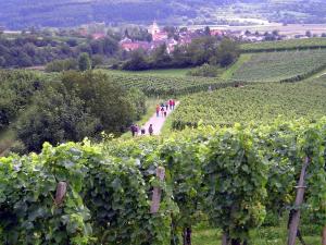 Ferienwohnung Storchenblick