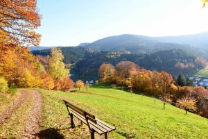 Ferienwohnung Fürstenkopf