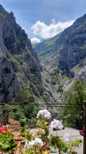 El Portal del Abuelo