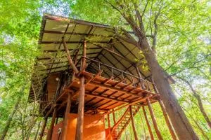 Kaala Kalaththewa Luxury Eco Resort - Kirikkulama