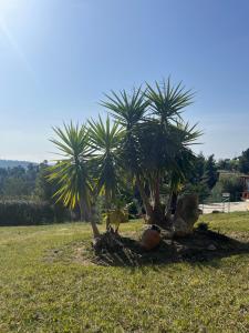 Villa Cultura Elani Halkidiki