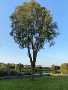 Studio proche Disneyland Paris