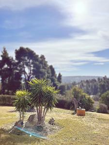 Villa Cultura Elani Halkidiki