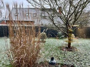 Ferienhaus Kleine Auszeit 25510