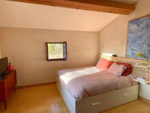 Maisons de vacances Petite maison provencale, unique et calme : photos des chambres