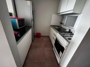 DEPTO LA PLATA SILVIA