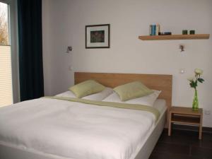 Luxury holiday house "Schleibrise"