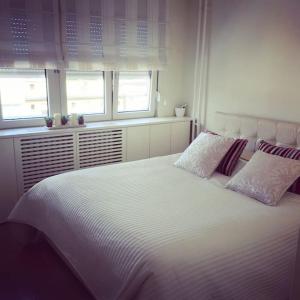 Mayas Downtown Apartment