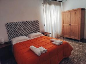 Casetta in Molise, LIperico