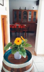 Casetta in Molise, LIperico