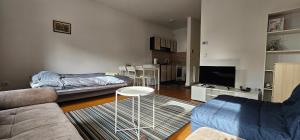 Belgrade Apartment city central- wi fi 30m2