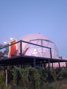 Entre racimos, glamping entre viñedos en bodega