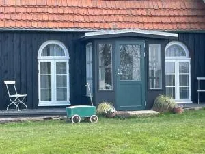 Ferienhaus Sommerhaus Julin - Langendamm