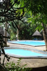 Diani Peaceful Garden