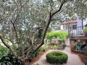 Apartment in Vrbnik - Insel Krk 45252