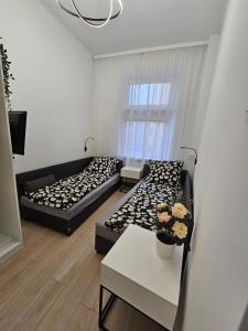 Apartament centrum 97