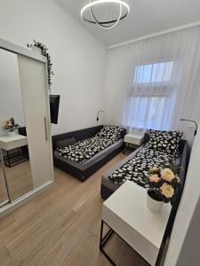 Apartament centrum 97