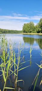 Namukas su ežero pakrante Trakai ,Viesų vila