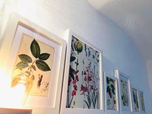 Terrassenwohnung mit Donaublick