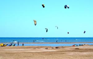 Pool view studio with terrace