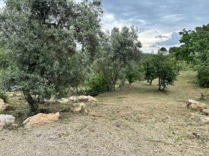 Maisons de vacances Mini house jaccuzi campagne proche mer&lac : photos des chambres