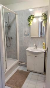 Charmant appartement proche Melun centre ville