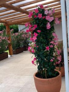 Villas Villa proche ocean et golf : photos des chambres